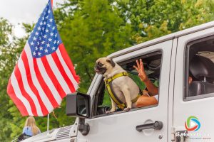 Carol Stream Fourth of July Parade 2025: Photos, Highlights