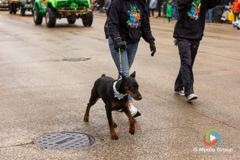 Highlights from the 2026 St. Charles St. Patrick's Parade. From bagpipes to festive floats, the community turned out in green to celebrate along the snowy Main Street route. | Photo GMedia Group