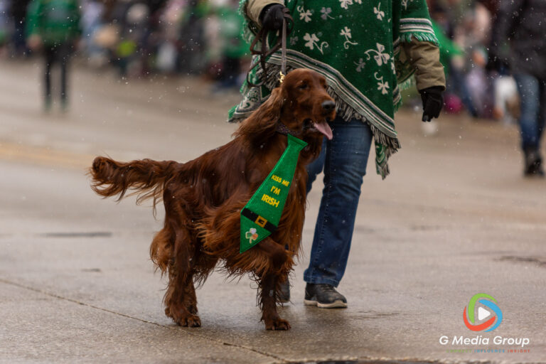 Snow flurries and chilly temperatures couldn't dampen the Irish spirit in downtown St. Charles. Participants and spectators gathered along Main Street for the annual St. Patrick's Parade, celebrating local tradition despite the late-season flurries. | Photo: GMedia Group